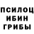 Псилоцибиновые грибы Psilocybe Nulick