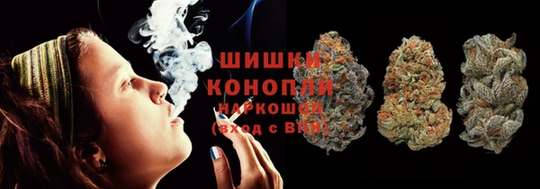 сатива Магадан