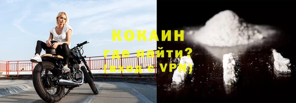 сатива Магадан