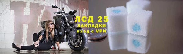 сатива Магадан