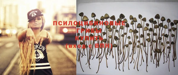 сатива Магадан