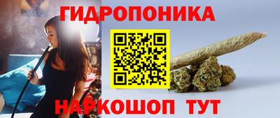 ALPHA PVP Бийск