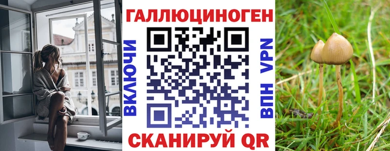 хочу наркоту  shop наркотические препараты  Псилоцибиновые грибы Magic Shrooms  Железногорск 