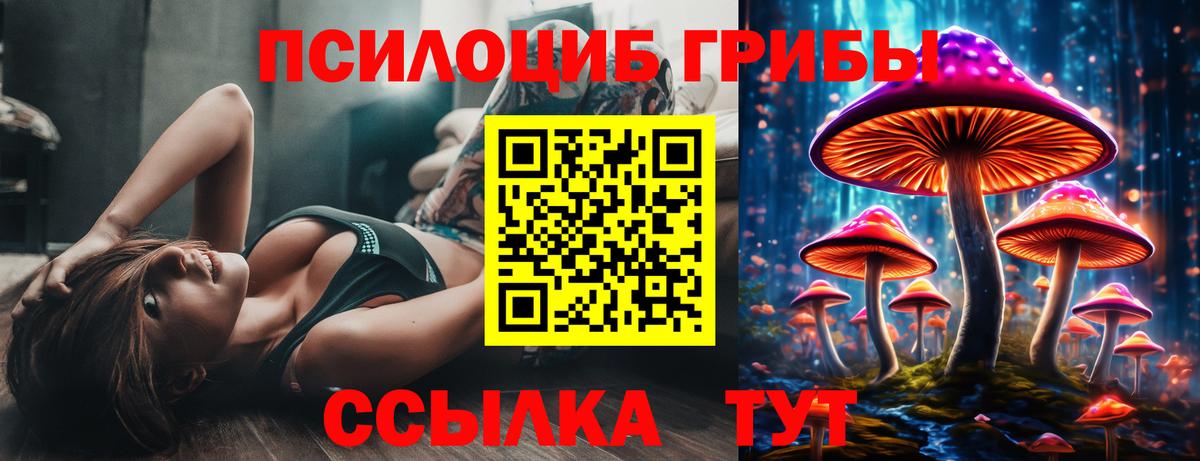 Псилоцибиновые грибы прущие грибы Железногорск
