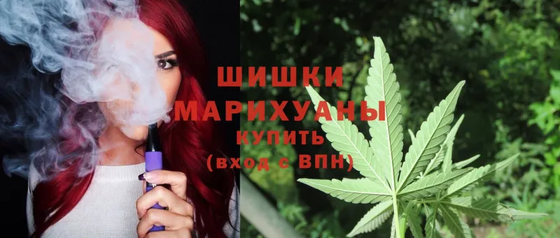 Шишки марихуана White Widow  ОМГ ОМГ зеркало  Железногорск  наркота 